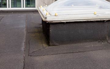 disadvantages of Rackham flat roofs