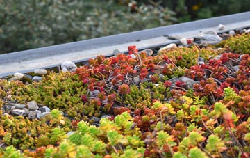 the cost of Rackham green roof installation