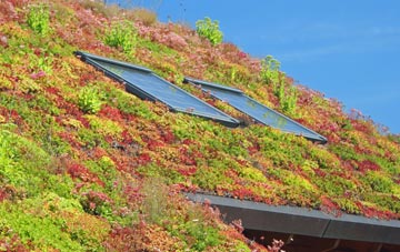 Rackham living roof systems