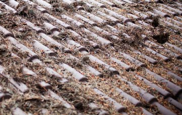 Rackham roof cleaning companies